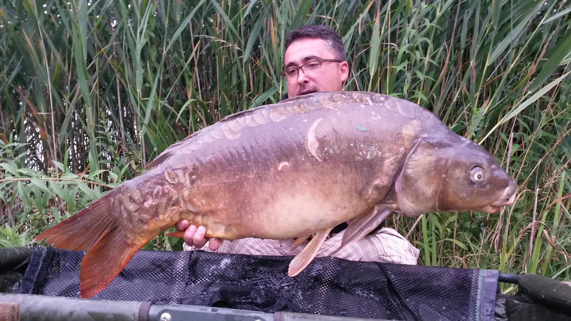 regiune Rhône-Alpes 10 - 11 august 2015 - 20150810194019.jpg